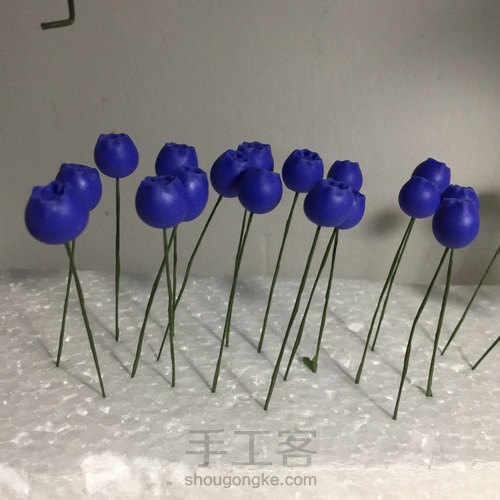 花花世界~终于拍全了步骤 第11步