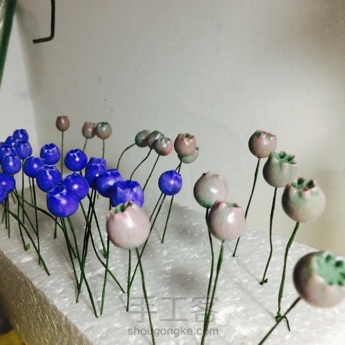 花花世界~终于拍全了步骤 第12步