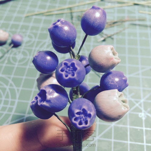 花花世界~终于拍全了步骤 第14步