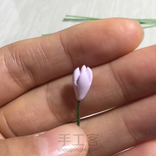 花花世界~终于拍全了步骤 第15步