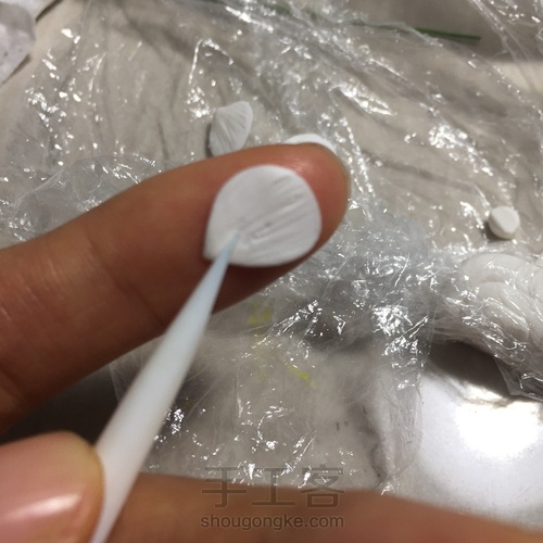 花花世界~终于拍全了步骤 第18步