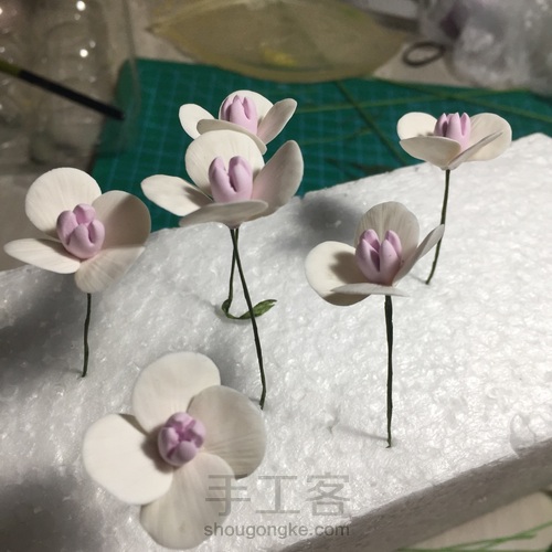 花花世界~终于拍全了步骤 第19步