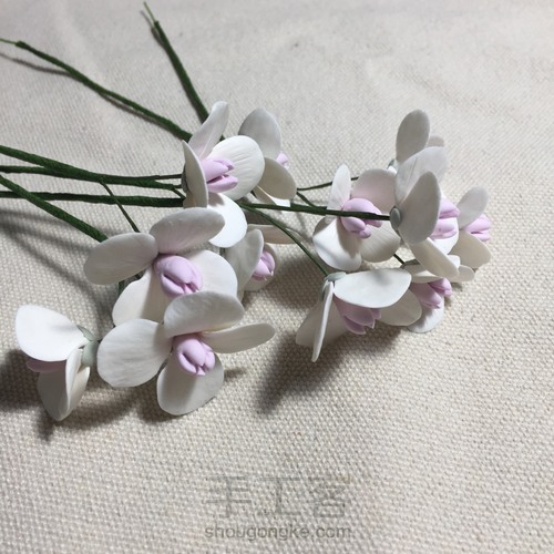 花花世界~终于拍全了步骤 第20步