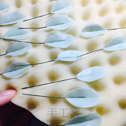 花花世界~终于拍全了步骤 第21步