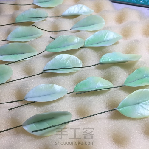 花花世界~终于拍全了步骤 第22步