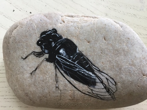 石头画之蝉 第3步