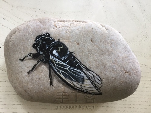石头画之蝉 第4步