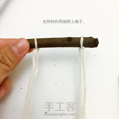 多肉花盆废物利用 第6步