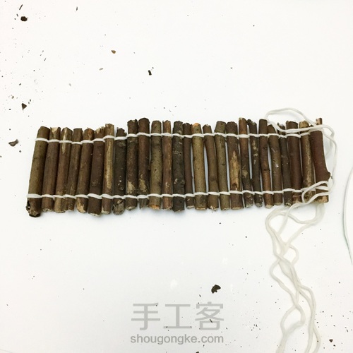 多肉花盆废物利用 第8步