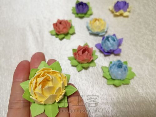 荷花朵朵 第10步