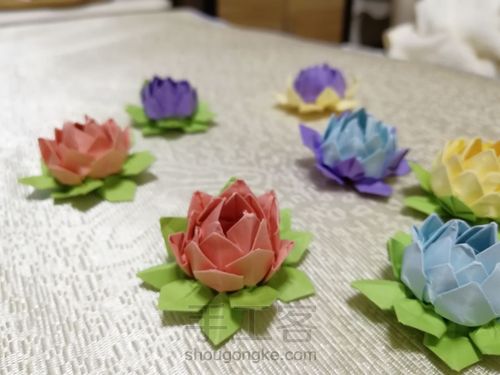 荷花朵朵 第13步