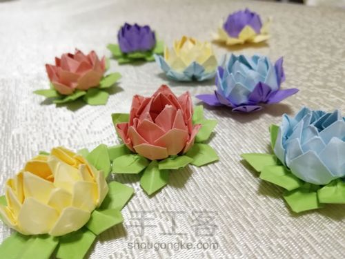 荷花朵朵 第14步