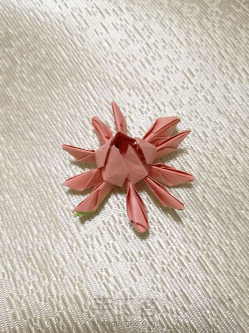 荷花朵朵 第7步