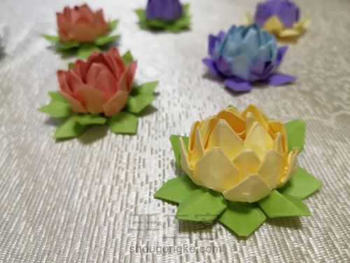 荷花朵朵 第9步