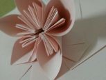 纸艺——樱花