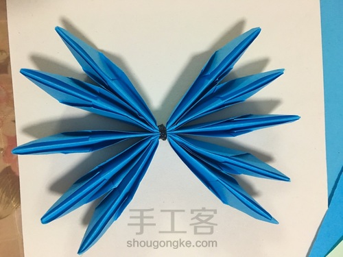 蓝莲花《值得回忆的》 第14步