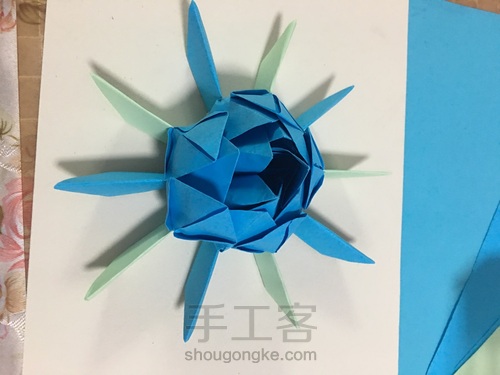 蓝莲花《值得回忆的》 第20步