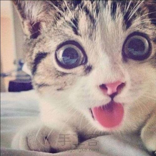 【幺幺自造】新材料速撸 第18步