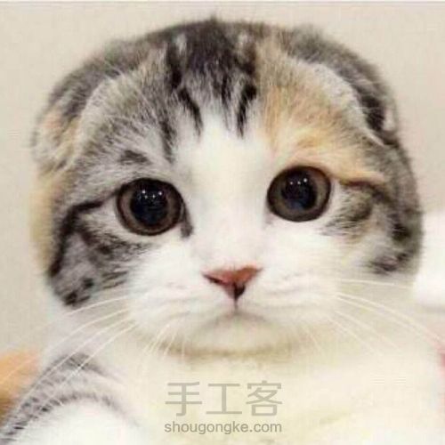 【幺幺自造】愿为东南枝,低举拂罗衣 第20步