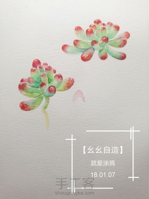 【幺幺自造】多肉图谱之2: 虹之玉 第10步