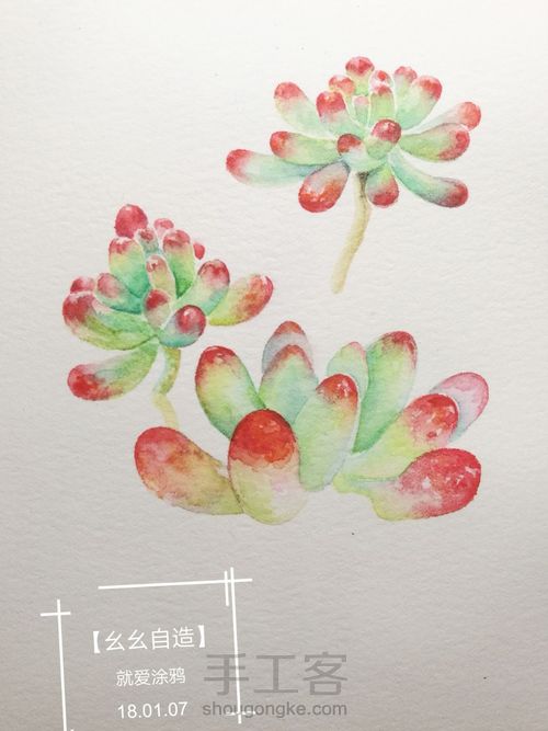 【幺幺自造】多肉图谱之2: 虹之玉 第14步