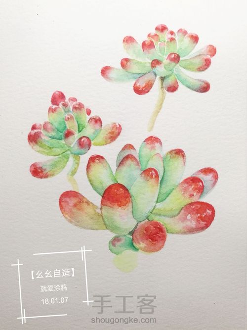 【幺幺自造】多肉图谱之2: 虹之玉 第15步