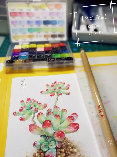 【幺幺自造】多肉图谱之2: 虹之玉 第2步
