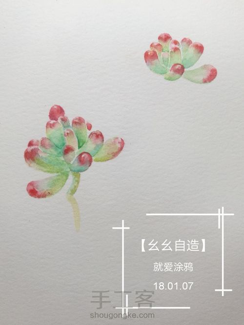 【幺幺自造】多肉图谱之2: 虹之玉 第7步