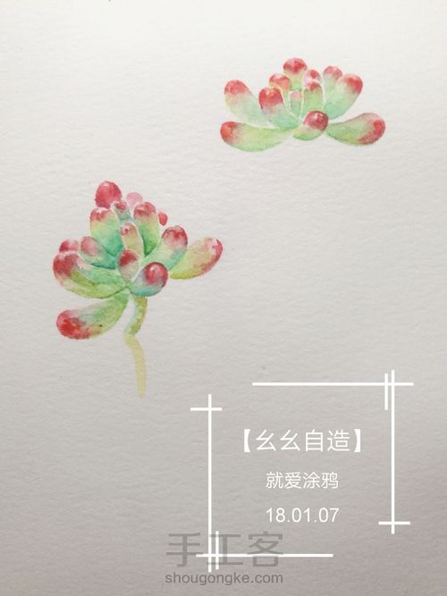 【幺幺自造】多肉图谱之2: 虹之玉 第8步