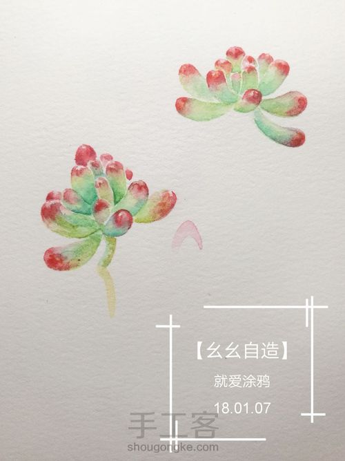 【幺幺自造】多肉图谱之2: 虹之玉 第9步