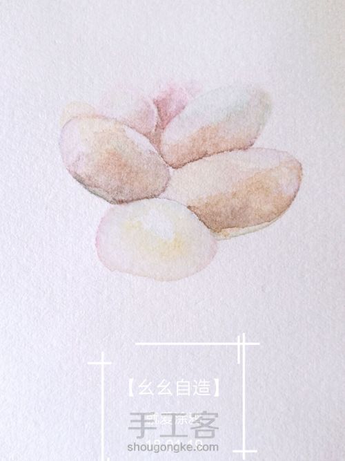 【幺幺自造】多肉图谱之3:  奶酪 第11步