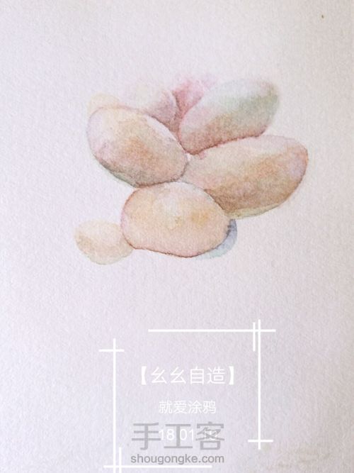 【幺幺自造】多肉图谱之3:  奶酪 第13步