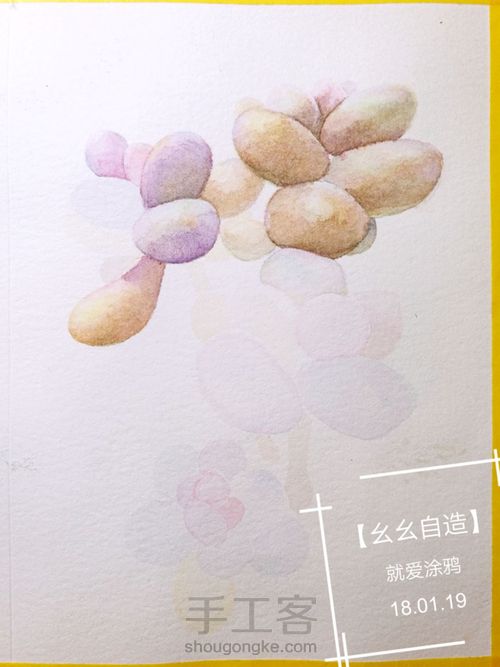 【幺幺自造】多肉图谱之3:  奶酪 第19步