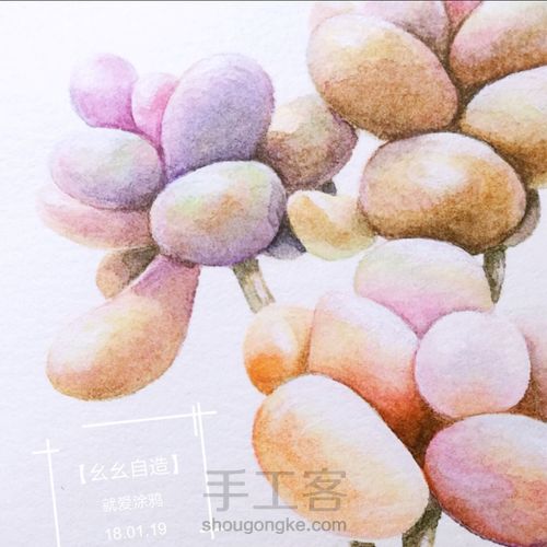 【幺幺自造】多肉图谱之3:  奶酪 第2步