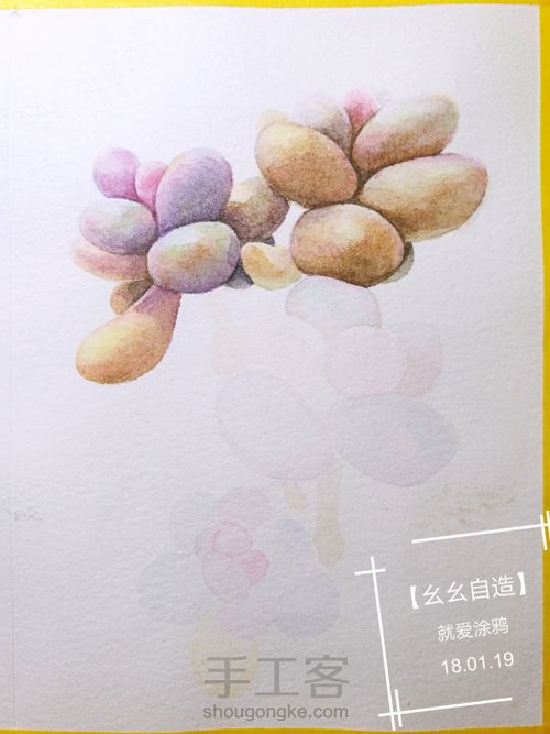 【幺幺自造】多肉图谱之3:  奶酪 第21步