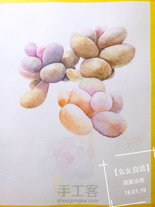 【幺幺自造】多肉图谱之3:  奶酪 第24步