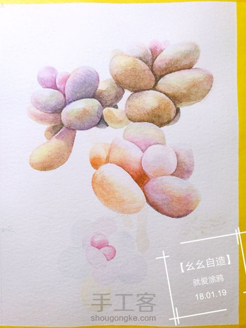 【幺幺自造】多肉图谱之3:  奶酪 第25步