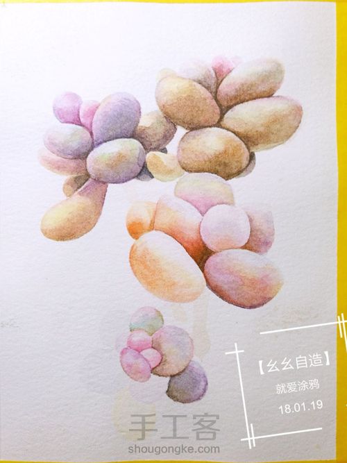 【幺幺自造】多肉图谱之3:  奶酪 第27步