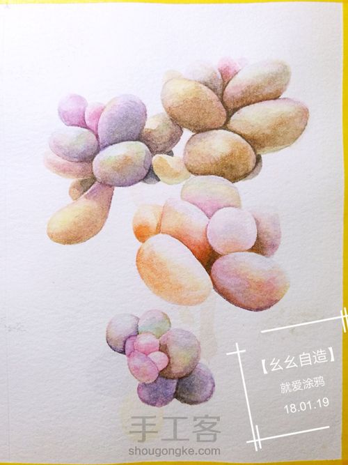 【幺幺自造】多肉图谱之3:  奶酪 第28步