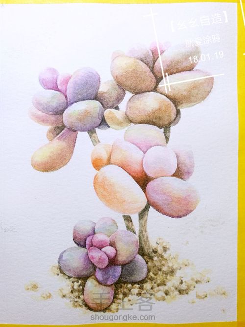 【幺幺自造】多肉图谱之3:  奶酪 第32步