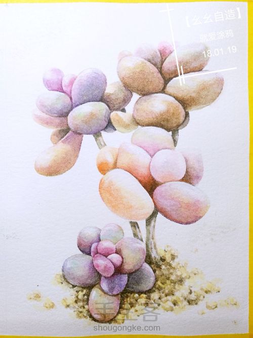 【幺幺自造】多肉图谱之3:  奶酪 第33步