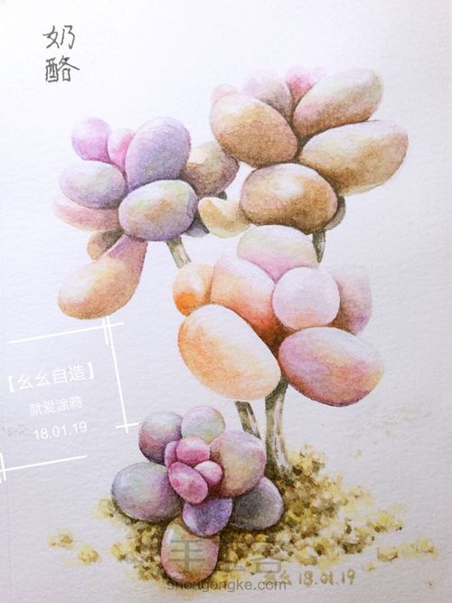 【幺幺自造】多肉图谱之3:  奶酪 第34步