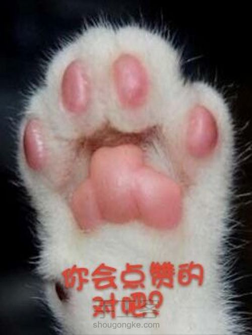 【幺幺自造】一路繁花 第45步