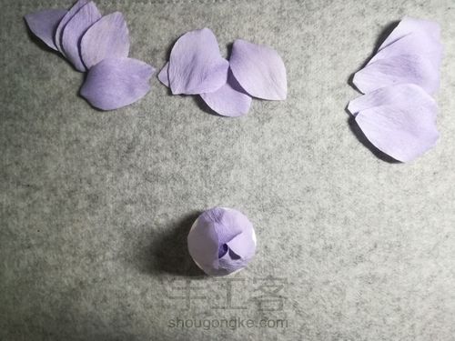 纸藤月季花 第12步