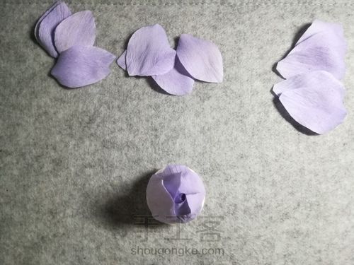 纸藤月季花 第13步