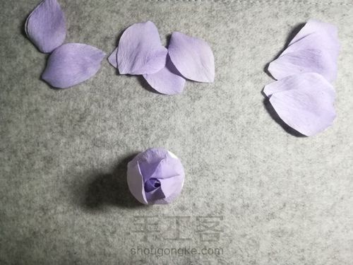 纸藤月季花 第14步