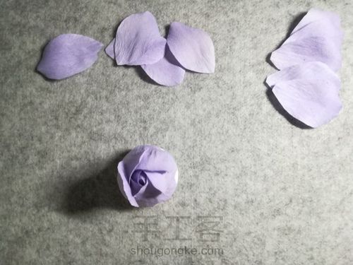 纸藤月季花 第15步