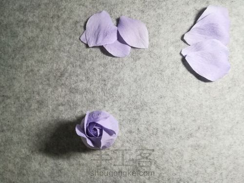 纸藤月季花 第17步