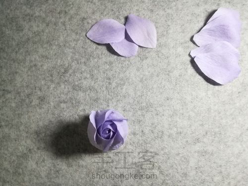 纸藤月季花 第18步