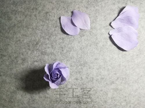 纸藤月季花 第19步